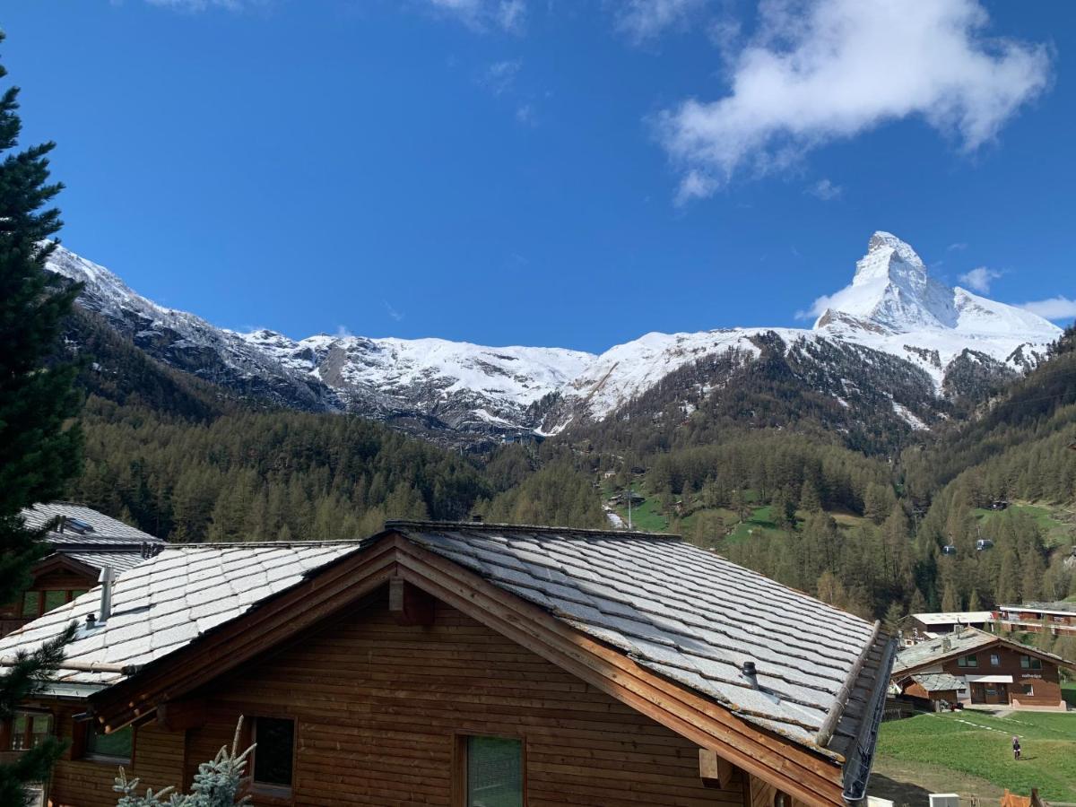 Matterhorn Panorama Apartment زيرمات المظهر الخارجي الصورة